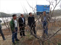 ������ֲר�Ҹ߻��½��ڿ�����̬ũׯ 