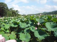 �����Ÿ����������������¼���