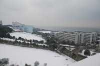 ��ѩ�׷���--���ż�����Ӱ��Ʒ����