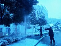 ���ڹ�˾�̻���Ϊ��ľɨѩ����Σ������ͼ��