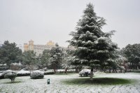 �����Ÿ����������������¼���������