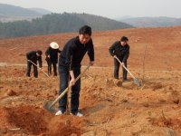 ��̬ũׯ���𴺼��ֹ���ľ��ֲ�߳�